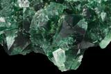 Fluorite Crystal Cluster - Rogerley Mine #134784-2